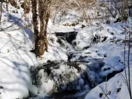 Prodaja, plac, 13000m², Knjaževac, Srbija - image 8