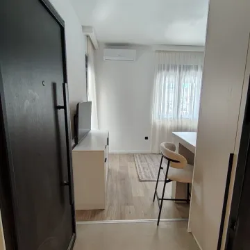 Rent, studio apartment, 25m², Zabjelo, Podgorica - image 3