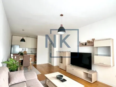 Izdavanje, jednosoban stan, 47m², Central Point, Podgorica - image 3