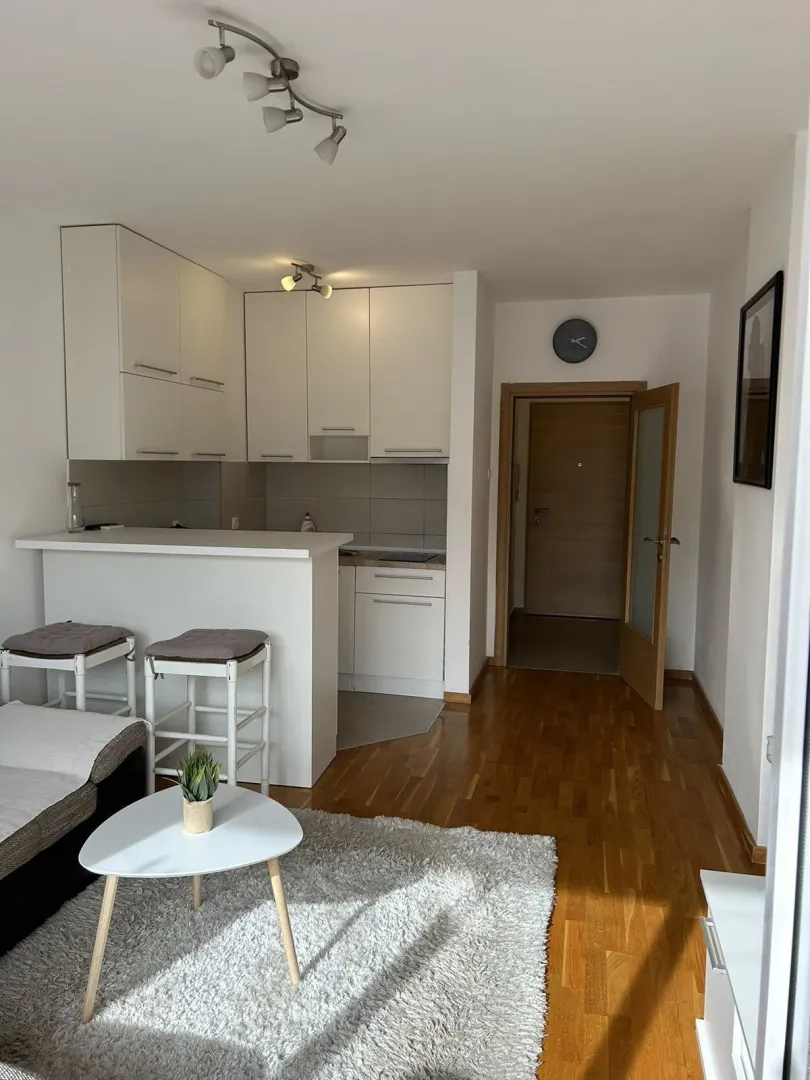 Izdavanje, jednosoban stan, 30m², Tuški Put, Podgorica
