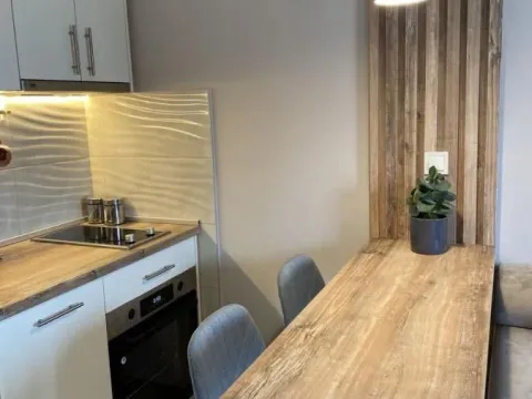 Izdavanje, jednosoban stan, 35m², Seljanovo, Tivat - image 5