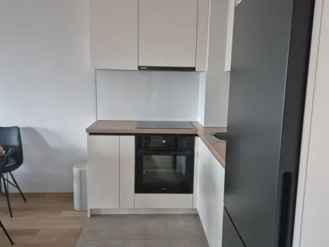 Izdavanje, dvosoban stan, 51m², Hala Pionir, Palilula Sve Podlokacije - image 5