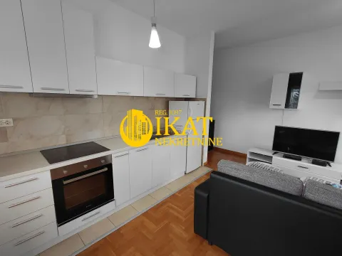 Rent, two bedroom apartment, 45m², Lion, Zvezdara Sve Podlokacije - image 3