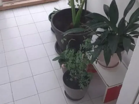 Prodaja, jednosoban stan, 53m², Novo naselje, Novi Sad - image 9