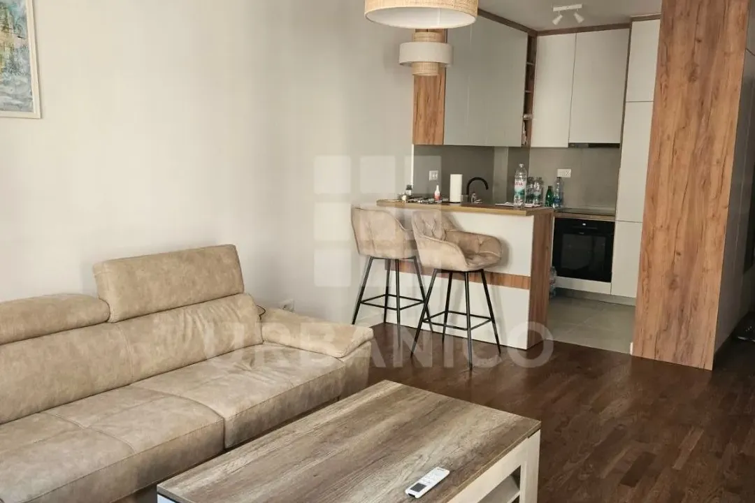 Izdavanje, jednosoban stan, 47m², Stari Aerodrom, Podgorica