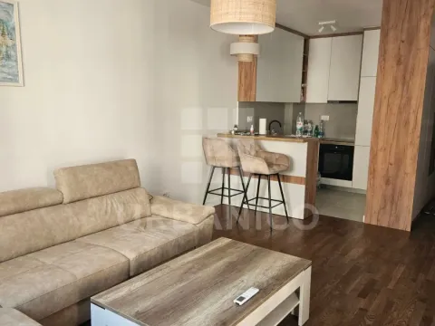 Izdavanje, jednosoban stan, 47m², Stari Aerodrom, Podgorica - image 1