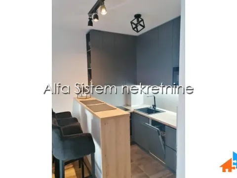 Izdavanje, dvosoban stan, 43m², Vračar Sve Podlokacije, Beograd - image 5