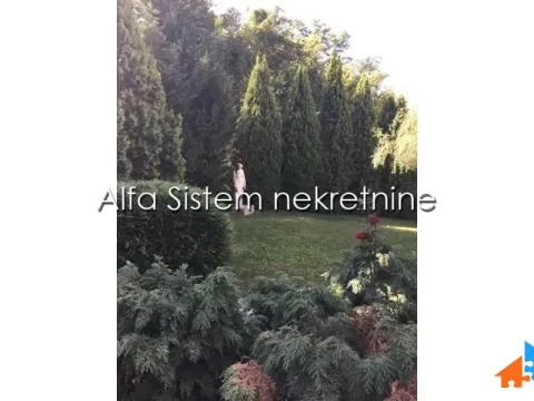 Izdavanje, kuća, 800m², Savski Venac, Beograd - image 6