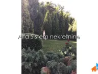 Izdavanje, kuća, 800m², Savski Venac, Beograd - image 6