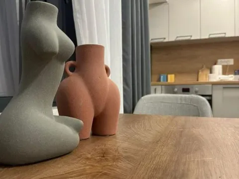 Sale, one bedroom apartment, 40m², Seljanovo, Tivat - image 5