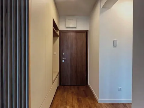 Izdavanje, jednosoban stan, 50m², Stari Aerodrom, Podgorica - image 9