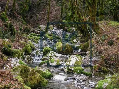 Prodaja, plac, 15588m², Centar, Kolašin - image 4