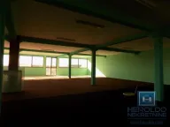 Izdavanje, poslovni prostor, 1300m², Supska, Ćuprija - image 32