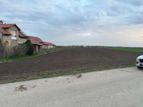 Prodaja, plac, 11000m², Vrbas, Novi Sad - image 3