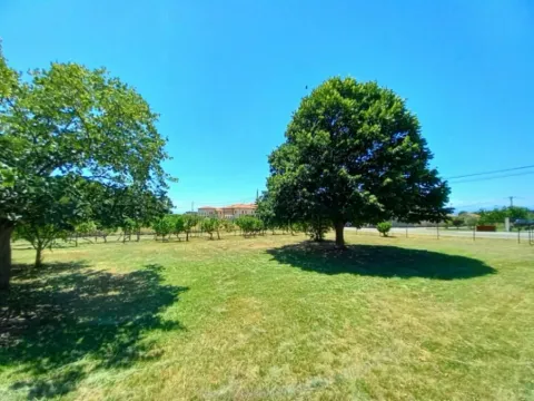 Prodaja, kuća, 145m², Tuzi, Podgorica - image 4