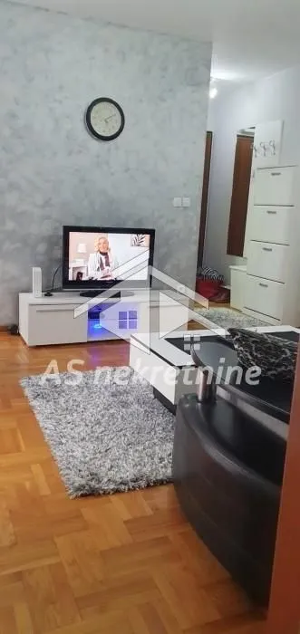 Izdavanje, dvosoban stan, 40m², Vračar Sve Podlokacije, Beograd