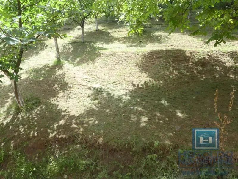 Prodaja, kuća, 279m², Strelište, Jagodina