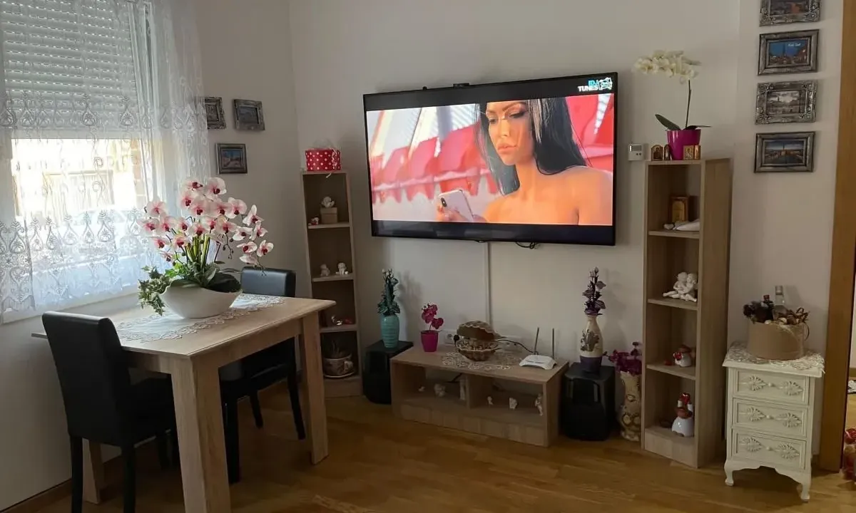 Izdavanje, jednosoban stan, 34m², Salajka, Novi Sad Sve Podlokacije