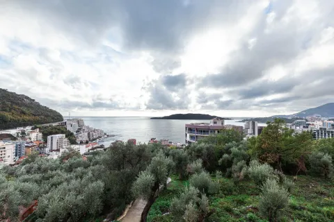 View of the sea and the city with greenery in the foreground. - image 17