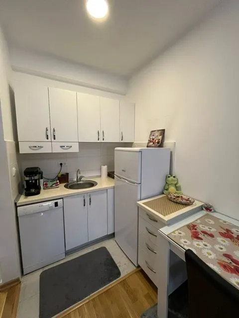 Rent, studio apartment, 26m², Tuški Put, Podgorica
