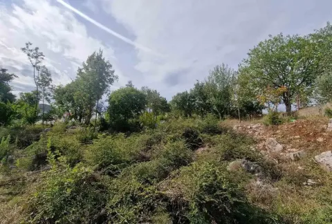 Prodaja, plac, 17000m², Lukovo, Nikšić - image 2