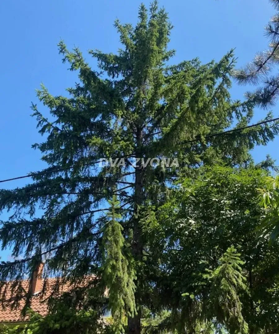 Prodaja, kuća, 62m², Čortanovci, Inđija