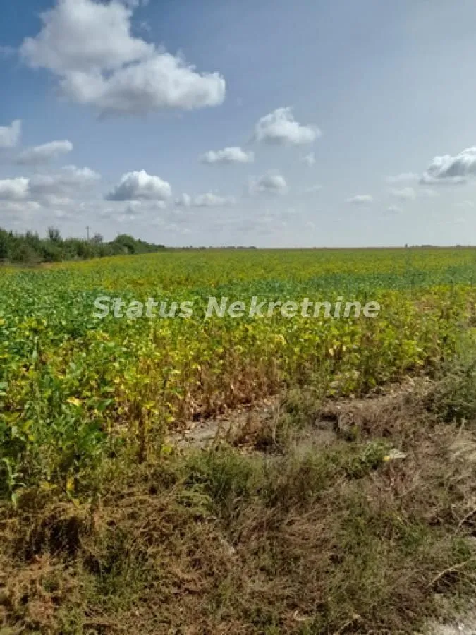 Prodaja, plac, 341m², Sremska Mitrovica, Srbija