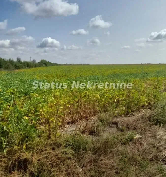 Prodaja, plac, 341m², Sremska Mitrovica, Srbija