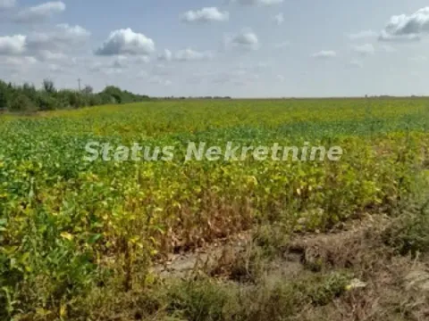 Sale, land lot, 341m², Sremska Mitrovica, Srbija