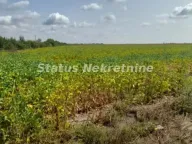 Prodaja, plac, 341m², Sremska Mitrovica, Srbija - image 1