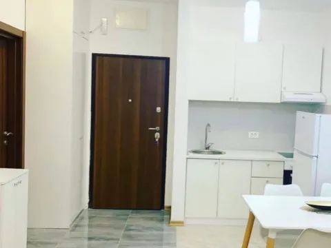 Izdavanje, garsonjera, 31m², Ljubović, Podgorica - image 5