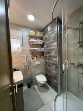 Modern bathroom with a walk-in shower, washbasin, and wall-mounted toilet. - image 5