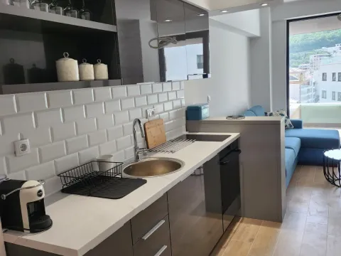Izdavanje, garsonjera, 47m², Bečići, Budva - image 3