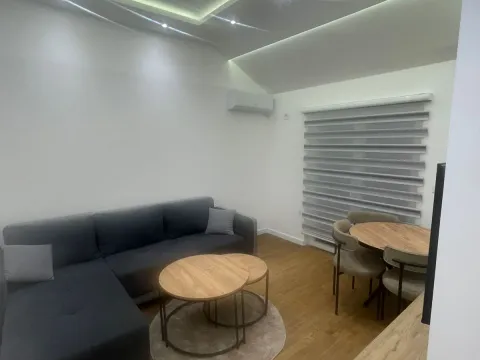 Izdavanje, jednosoban stan, 55m², Zagorič, Podgorica - image 23