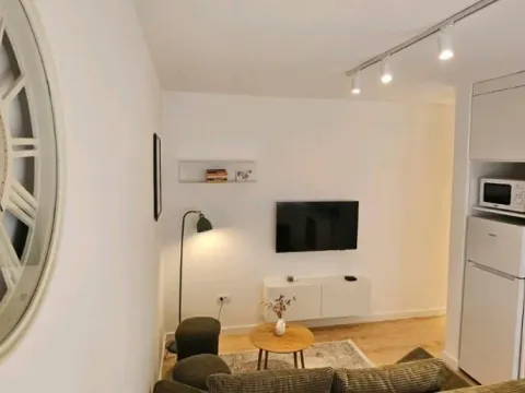 Izdavanje, jednosoban stan, 40m², Centar, Novi Sad - image 9