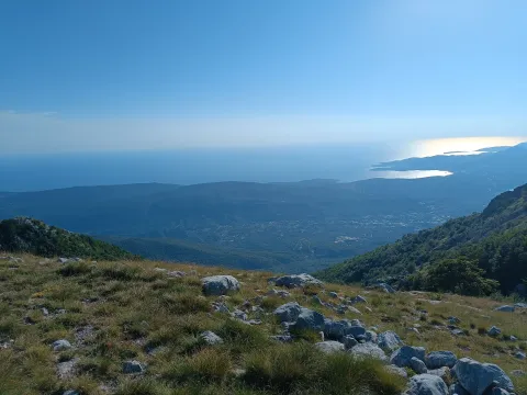 Prodaja, plac, 9000m², Ivanova Korita, Cetinje - image 2