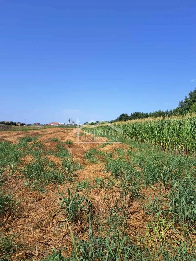Prodaja, plac, 3100m², Zemun Sve Podlokacije, Beograd