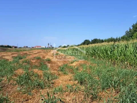 Prodaja, plac, 3100m², Zemun Sve Podlokacije, Beograd - image 2