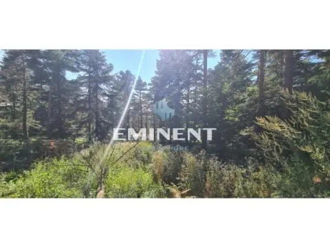 Sale, land lot, 22000m², Divčibare, Valjevo - image 2