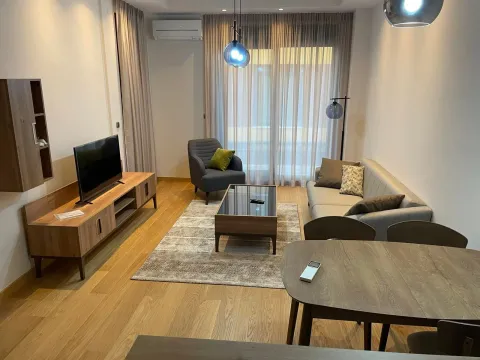 Izdavanje, jednosoban stan, 52m², Podgorica, Crna Gora - image 1