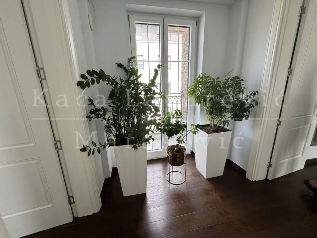 Sale, house, 275m², Crveni Krst, Beograd
