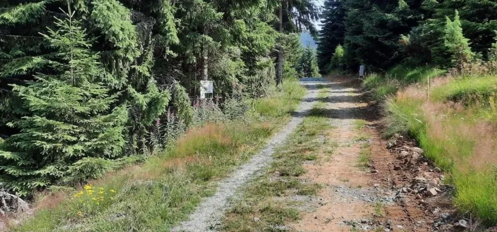 Prodaja, plac, 300m², Kopaonik, Srbija