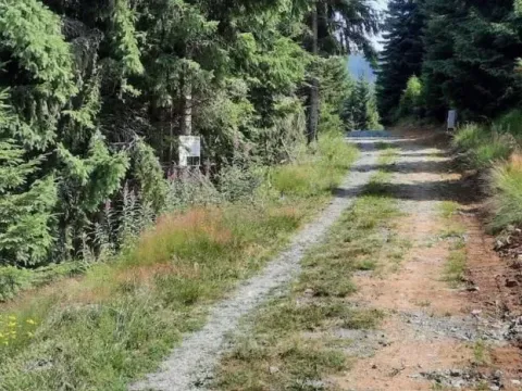 Prodaja, plac, 300m², Kopaonik, Srbija - image 10