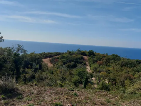 Prodaja, plac, 975m², Reževići, Budva - image 2