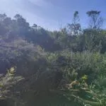 Prodaja, plac, 1290m², Kotor, Crna Gora - image 4