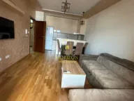 Izdavanje, jednosoban stan, 46m², Tuški Put, Podgorica - image 1