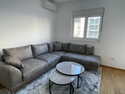 Rent, one bedroom apartment, 48m², Stari Aerodrom, Podgorica - image 7