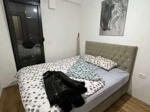 Prodaja, jednosoban stan, 46m², Zagorič, Podgorica - image 3