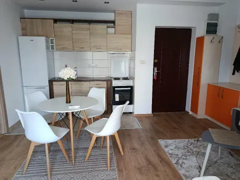 Rent, one bedroom apartment, 46m², Zabjelo, Podgorica - image 1