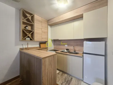 Izdavanje, jednosoban stan, 48m², Stari Aerodrom, Podgorica - image 5